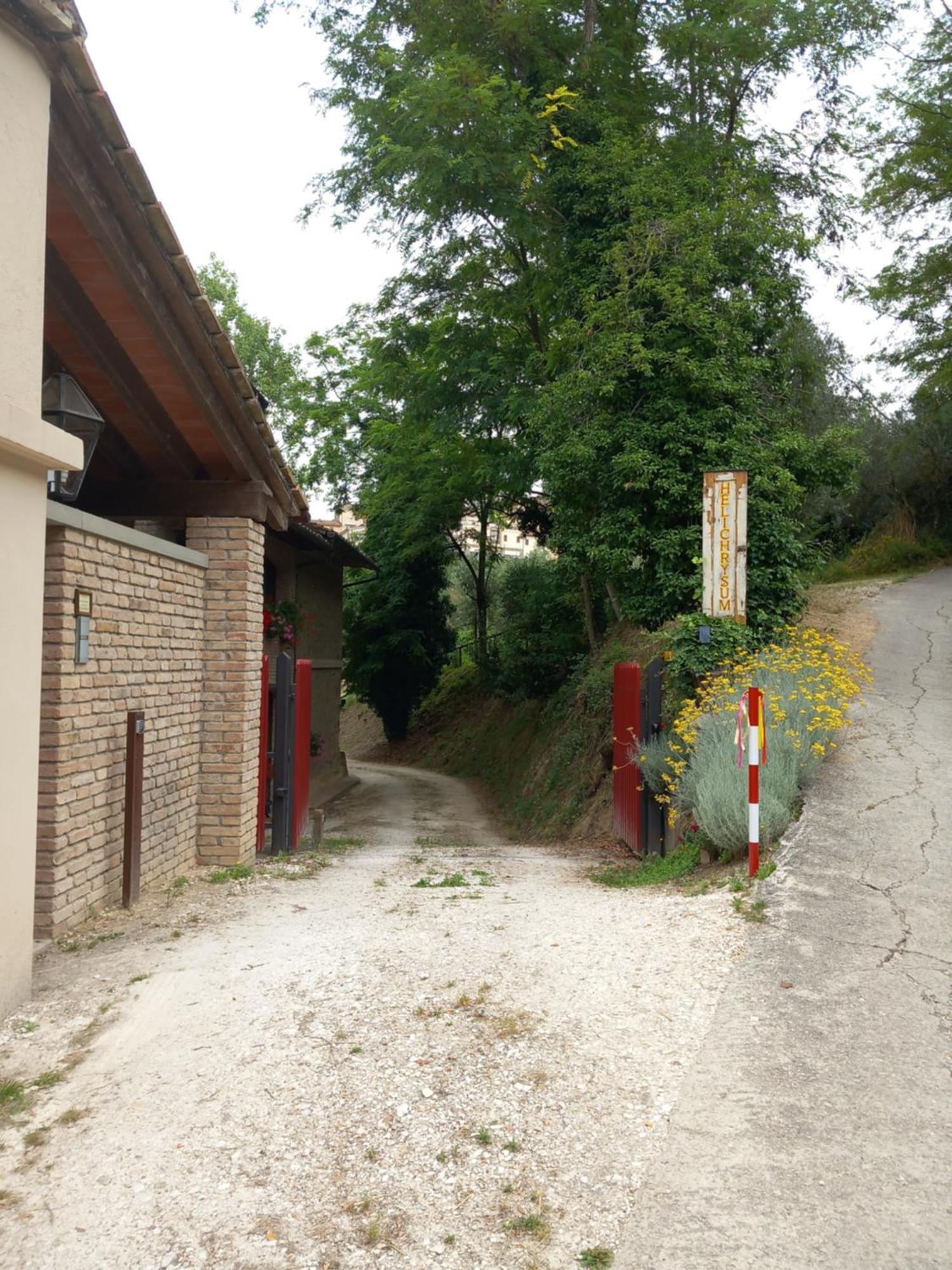 芬奇Helichrysum住宿加早餐旅馆 外观 照片