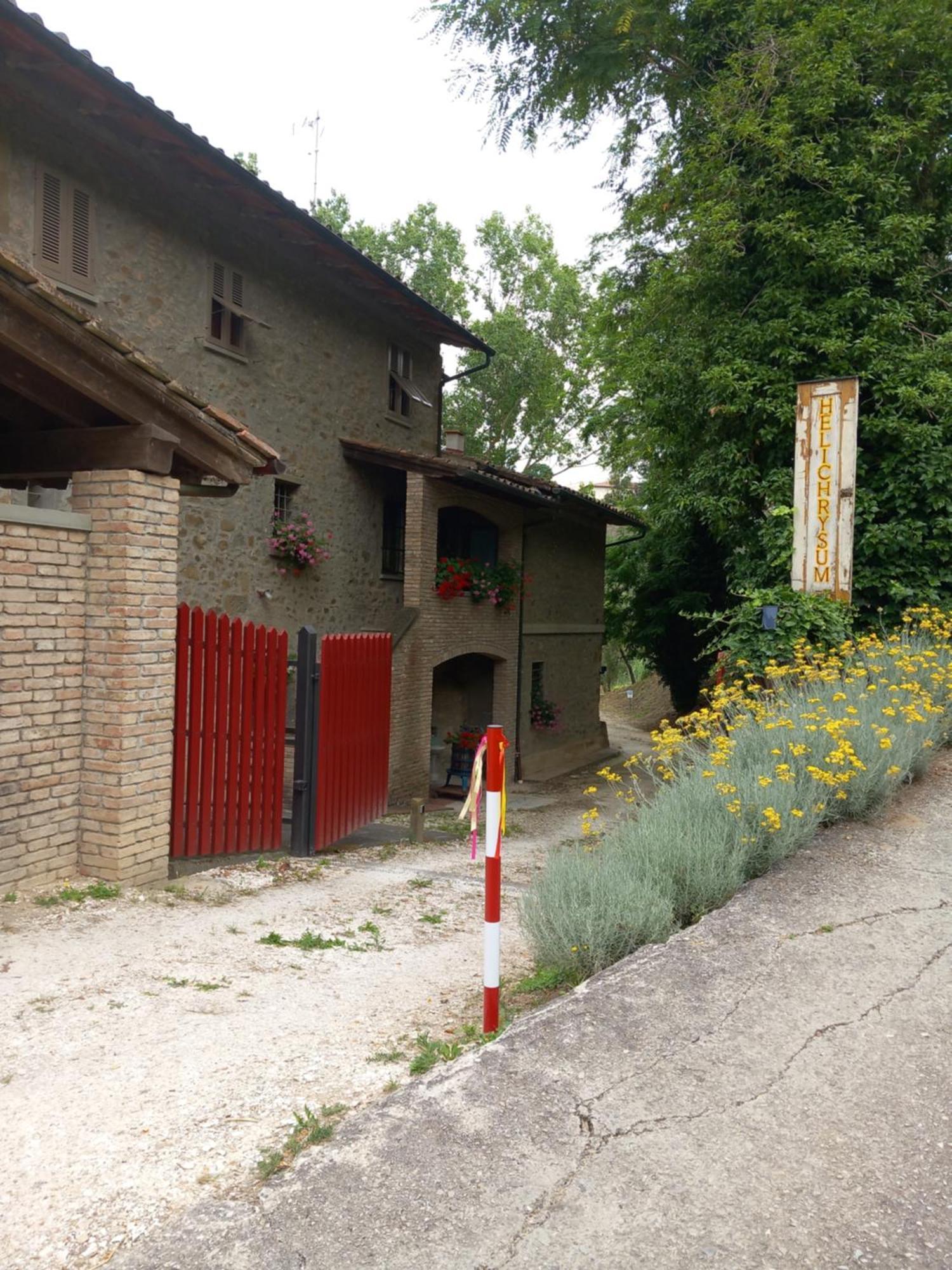 芬奇Helichrysum住宿加早餐旅馆 外观 照片
