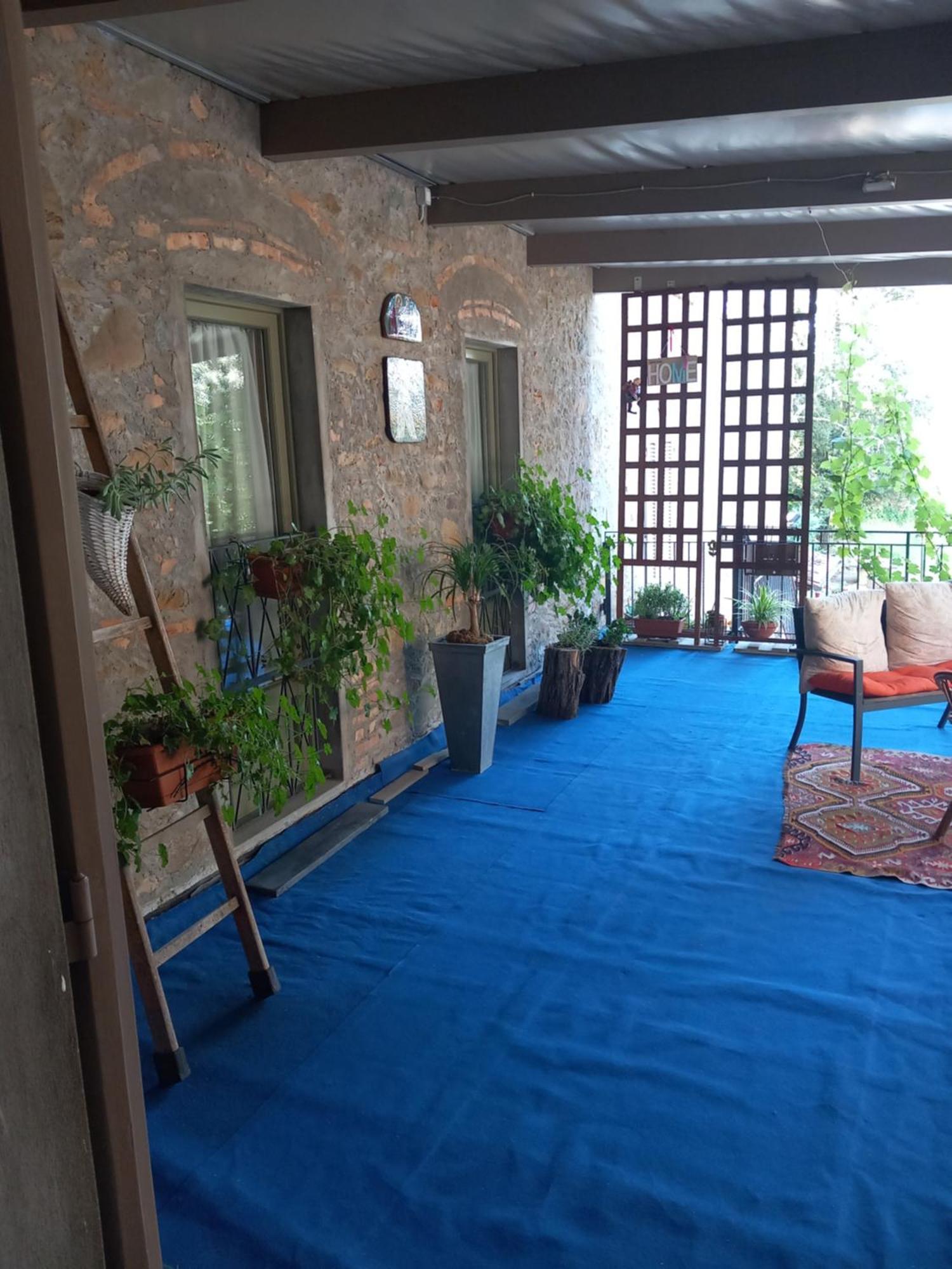 芬奇Helichrysum住宿加早餐旅馆 外观 照片
