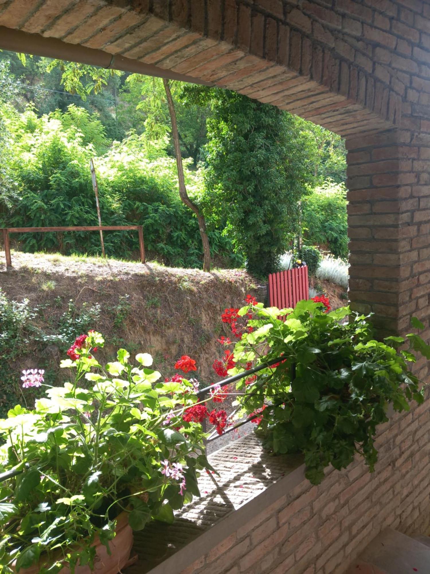 芬奇Helichrysum住宿加早餐旅馆 外观 照片